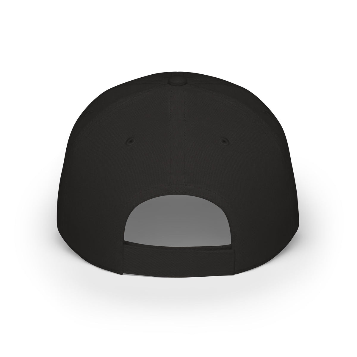 Beaver Pelt Dad Hat