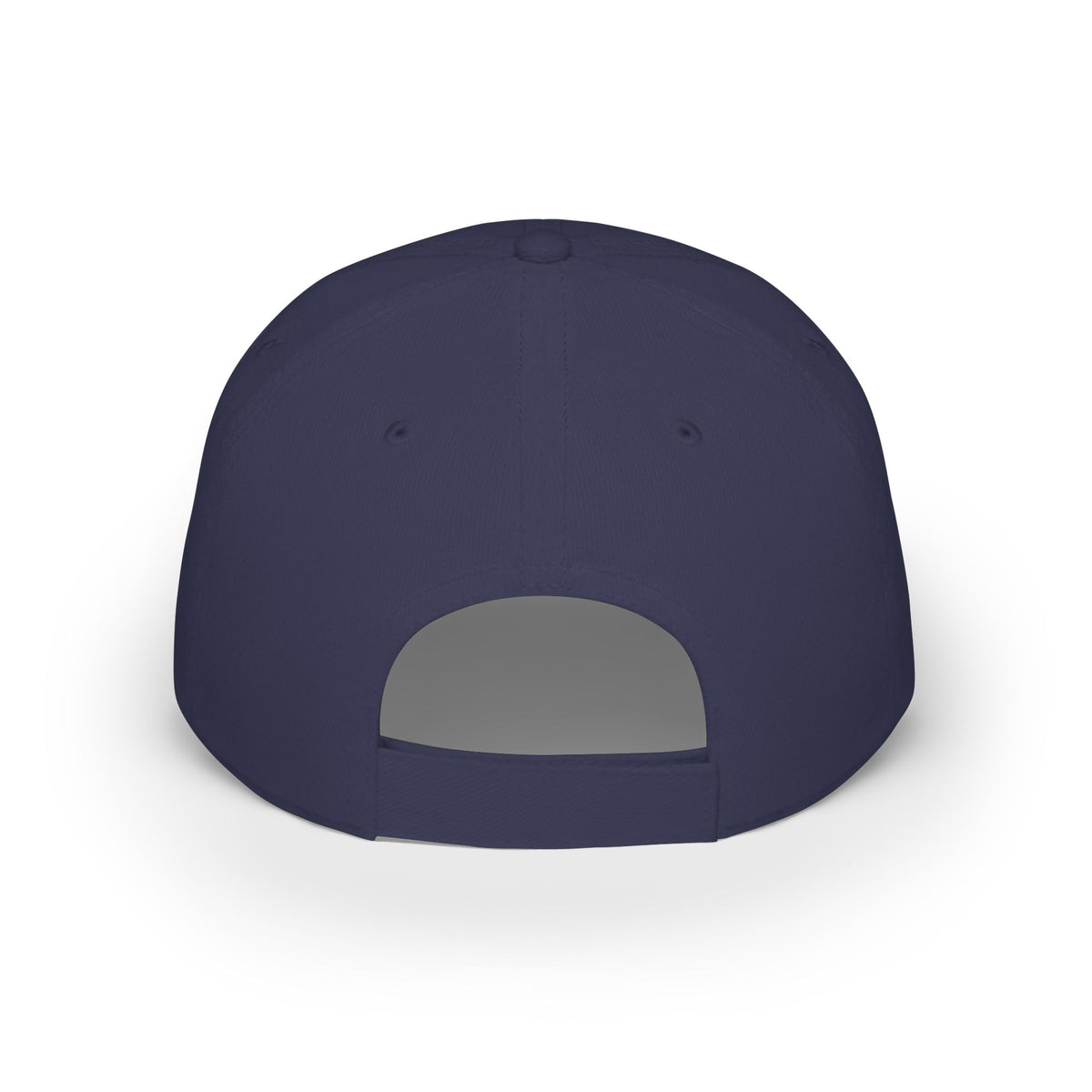 Beaver Pelt Dad Hat