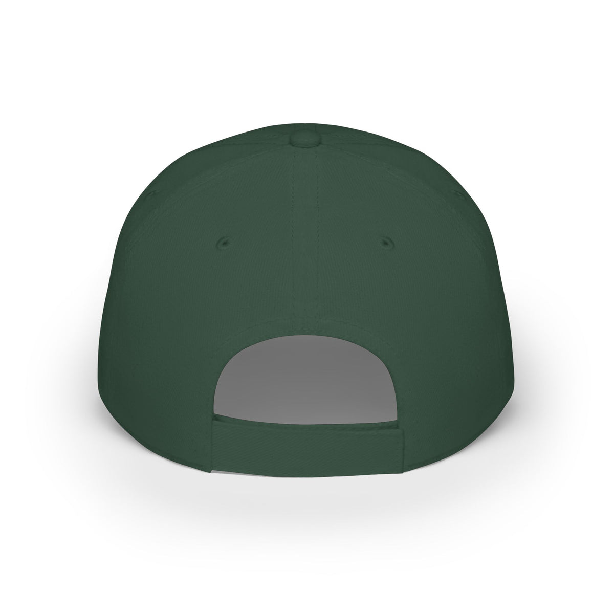 Beaver Pelt Dad Hat